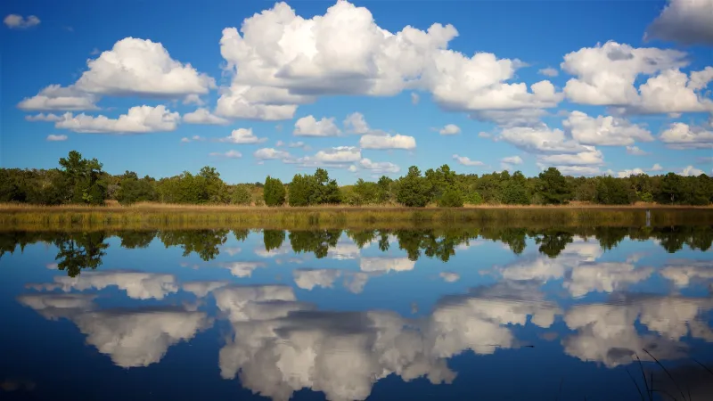 Ladson SC image